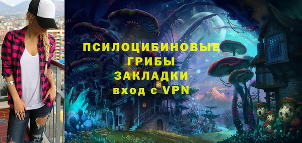 не бодяженный Алексин