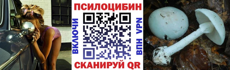 darknet телеграм omg ссылка Приморск Псилоцибиновые грибы MAGIC MUSHROOMS