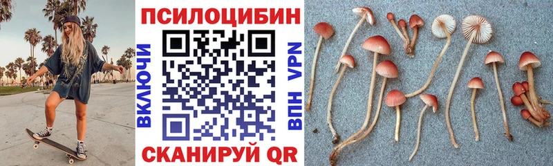 Галлюциногенные грибы прущие грибы Приморск