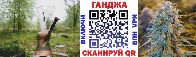 купить наркотики цена  Приморск  omg сайт  Конопля Bruce Banner 
